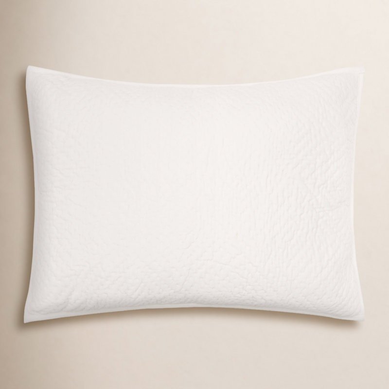 Hope 100% Cotton Ties Sham, Standard, Ivory