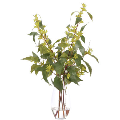 Eucalyptus, Green, Glass Vase, 23wx24dx34h
