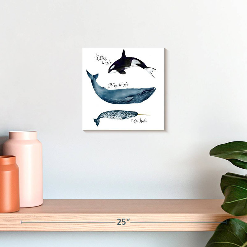 Crowle Three Types Of Whales