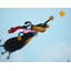Mike Taylor - Wrapped Canvas Print-19626434