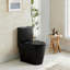 Toilette allongée à double chasse à économie d'eau, hauteur confortable, siège à fermeture en douceur, noir mat, 1,1 / 1,60 GPF