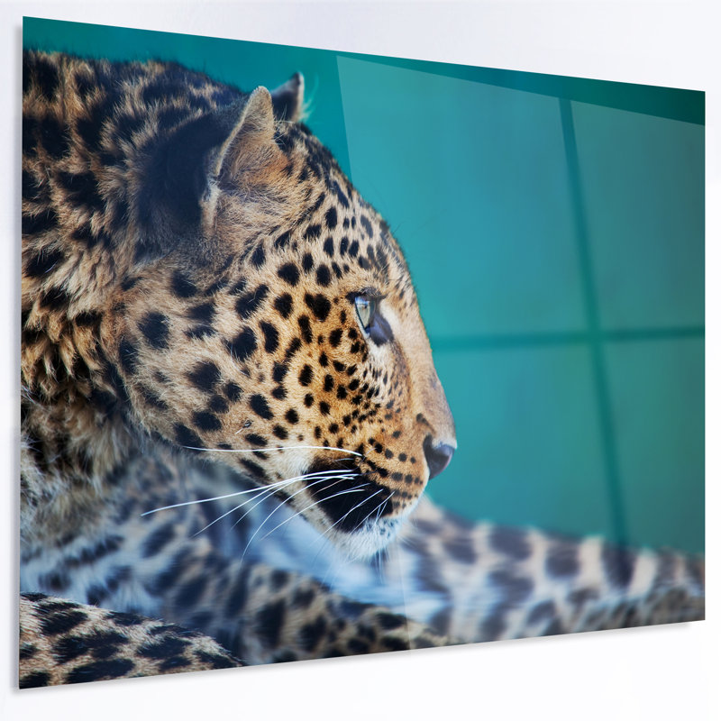 « vigilance leopard », impression, H 30 po x l 40 po x P 1,5 po, Toile tendue