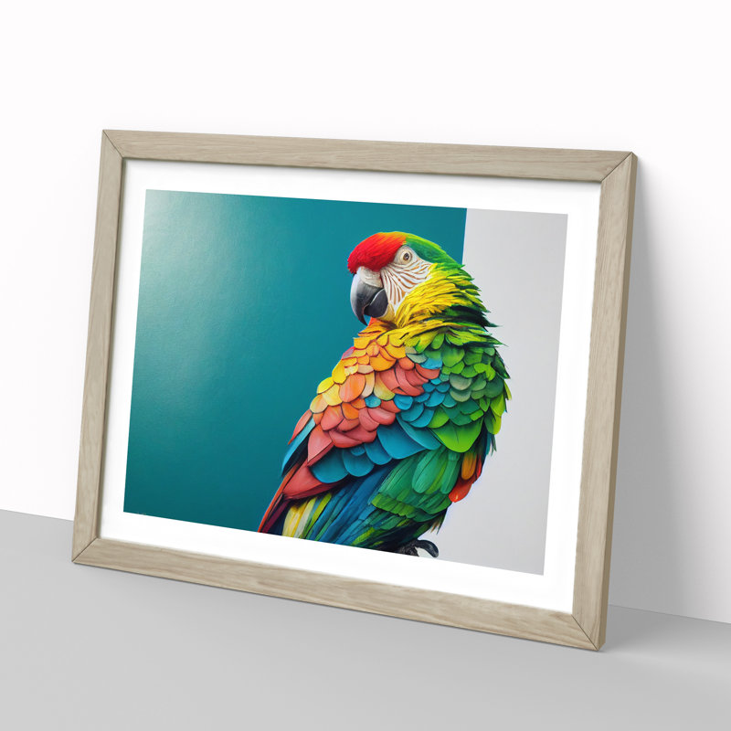 Captivating Parrot - Framed Print, 46cm H x 64cm W x 2cm D