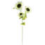 Plastic, Silk Artificial Arrangement-89222297
