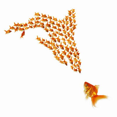 Group Of Goldfish - Wrapped Canvas Print
