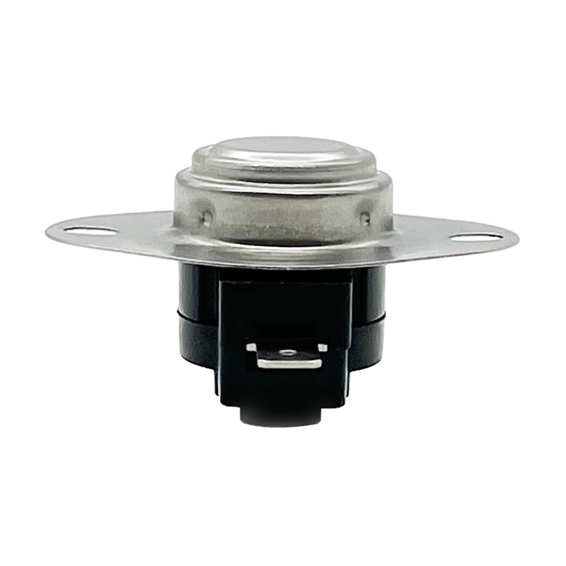 Whole Parts Thermostat