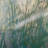 A Continuity By Fountain Grass Studios-433644091