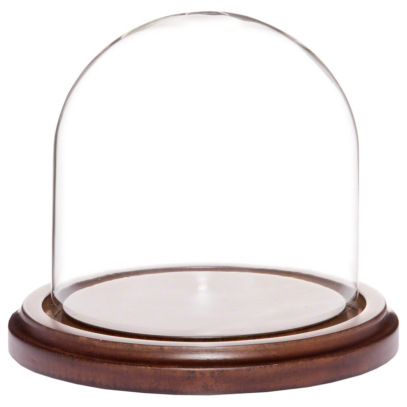 Cloche en verre Vucciria, 5.5" H × 5.5" W × 5.5" D, Base en panneau de fibres à densité moyenne noye