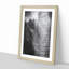 Mighty Elephant in the Shadows - Picture Frame Painting Print-56737809-56737804