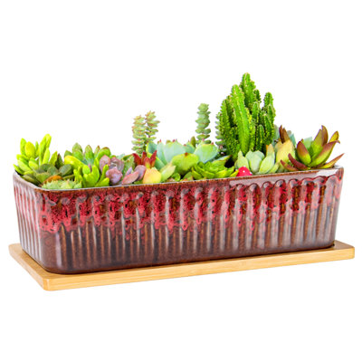 Succulent Pots, 12'' Long Rectangle Planters with Tray, Windowsill Planter Large Ceramic Pots for Indoor Cactus Plants Shallow Bonsai Window Box for Home Garden Decor