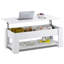 Khylie 100cm Lift Up Coffee Table With Storage-2027850670