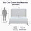 Tall Headboard Upholstered Bed,No Box Spring Needed-4635194