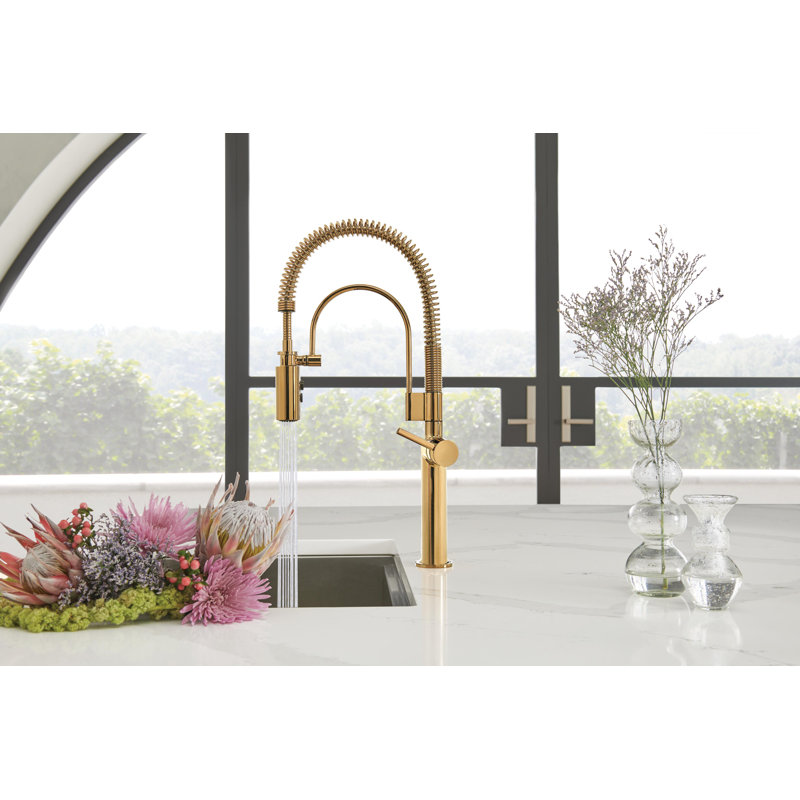 Odin® Semi-Professional Kitchen Faucet, Polished Gold, Metal Lever Handle