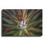 «Succulent VI» par Dennis Frates-830196071