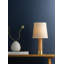 Meadowbrook Rechargeable Table Lamp