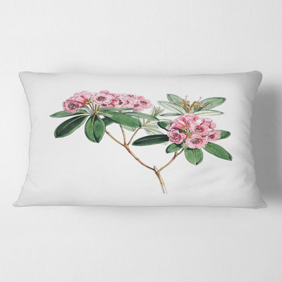 American Flora II Rectangular Pillow Cover & Insert