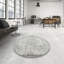 Tapis beige/gris traditionnel Amiyr-509725568
