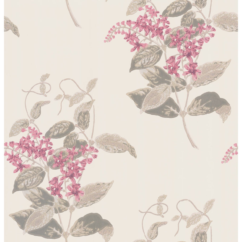 Anthology Madras Violet Floral Wallpaper Roll, Pink/Beige