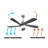 Loewus 52'' Ceiling Fan with LED Lights