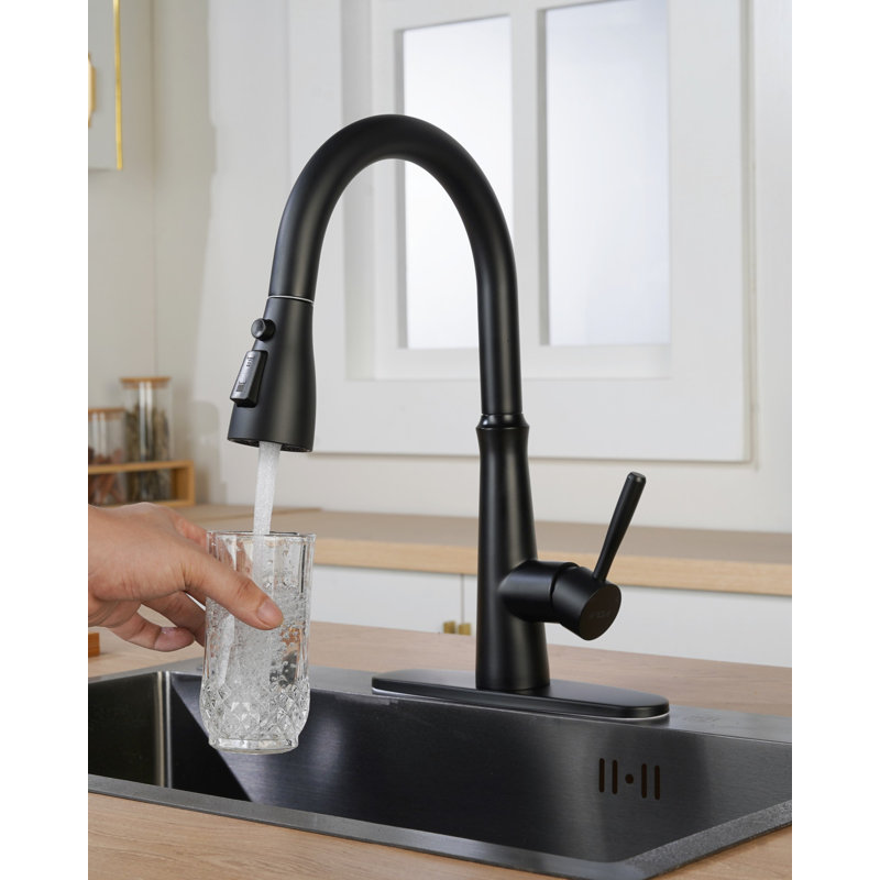 Matte Black Stainless Steel High-Arc Kitchen Faucet with Pull-out Spray