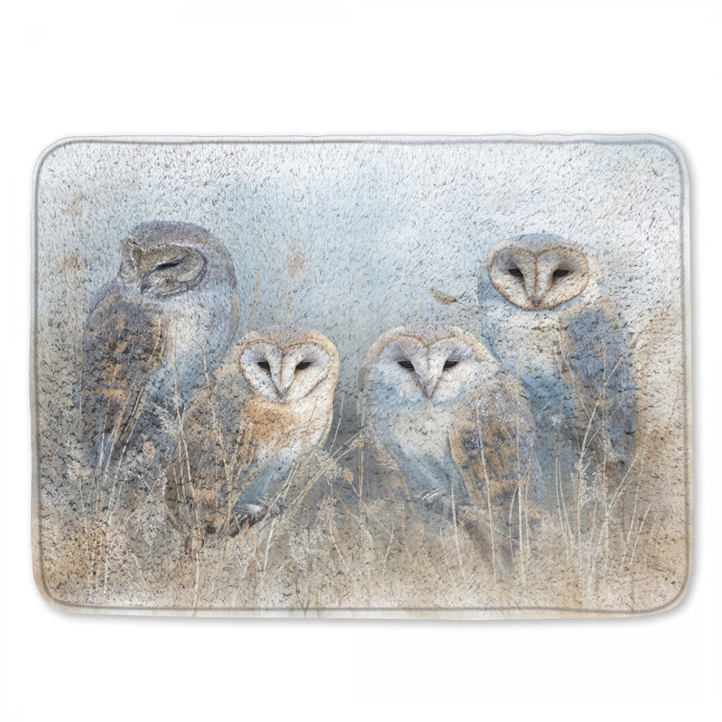 Tapis de bain Barn Owls, L 24 po x L 17 po
