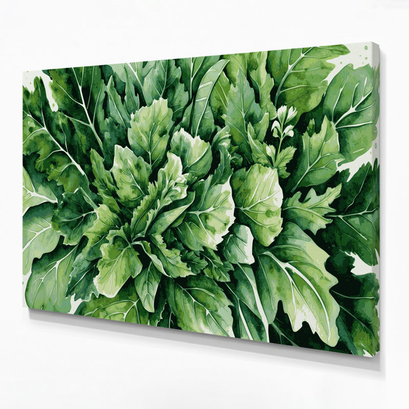 Art mural sur toile vert légumes roquette Eruca sativa, H 20 po x l 24 po