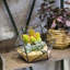 Bonsell Pot Planter