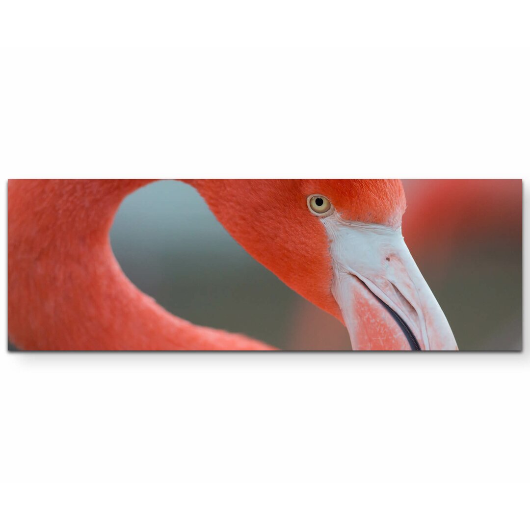 Leinwandbild Flamingo – Nahaufnahme