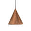 Rustic Lodge 1 - Light Pendant
