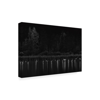 Bolog Patrick Aurednik Birds Canvas Art