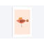 « oiseau orange », impression sur toile tendue-34983198-72449826-72449832
