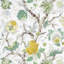 Indian Arbre Fabric-35102929