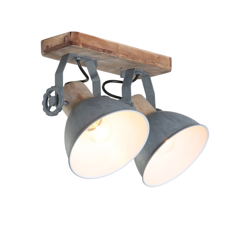 Alethia Spotlight, Grey