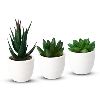 14 cm H Faux Bonsai Succulent Plant