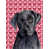 Labrador (noir)