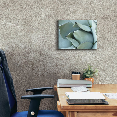 «Epave Graffiti» «Agave Détail 1» par Brittany Evans, art mural sur toile, 16 po x 12 po