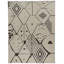 Flatweave Wool Geometric Area Rug in Beige