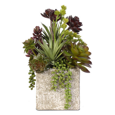 12 " H Faux Succulent