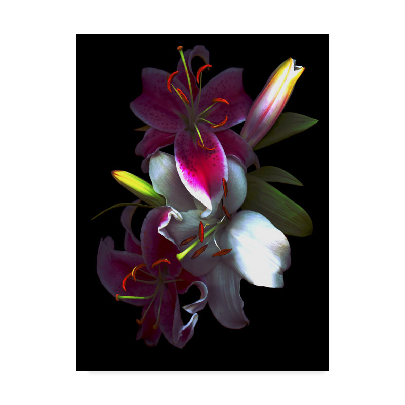 «Lilies» de Dosta, impression sur toile tendue, H 19 po x l 14 po x P 2 po