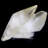 Carolea Crystal
