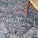 Lyiah Oriental Machine Washable Polyester Area Rug in Gray