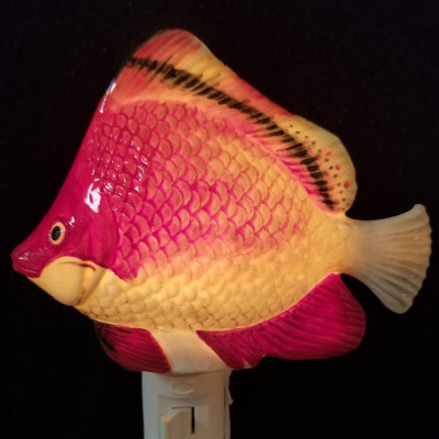 Éclairage de pêche tropical