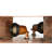 Chautauqua Flush Mounted Sconce