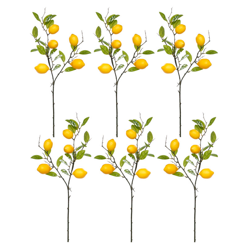 Orange Spray, Box Of 6 - 30 Inches, Yellow/Green
