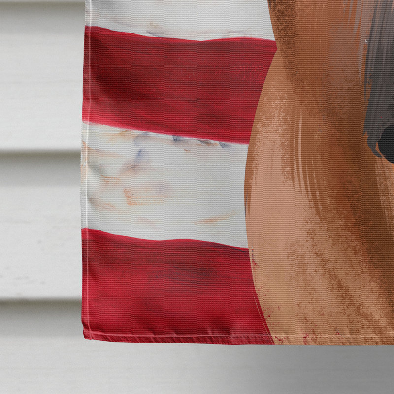 Polyester à 2 côtés 28 x 40 po drapeau maison, Boerboel