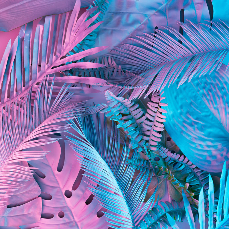 Tropical And Palm Leaves In Vibrant Bold Gradient Holographic Neon Colours. Concept Art. Minimal Surrealism Background. - Wrapped Canvas Print