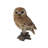 Owl on Stump Statue