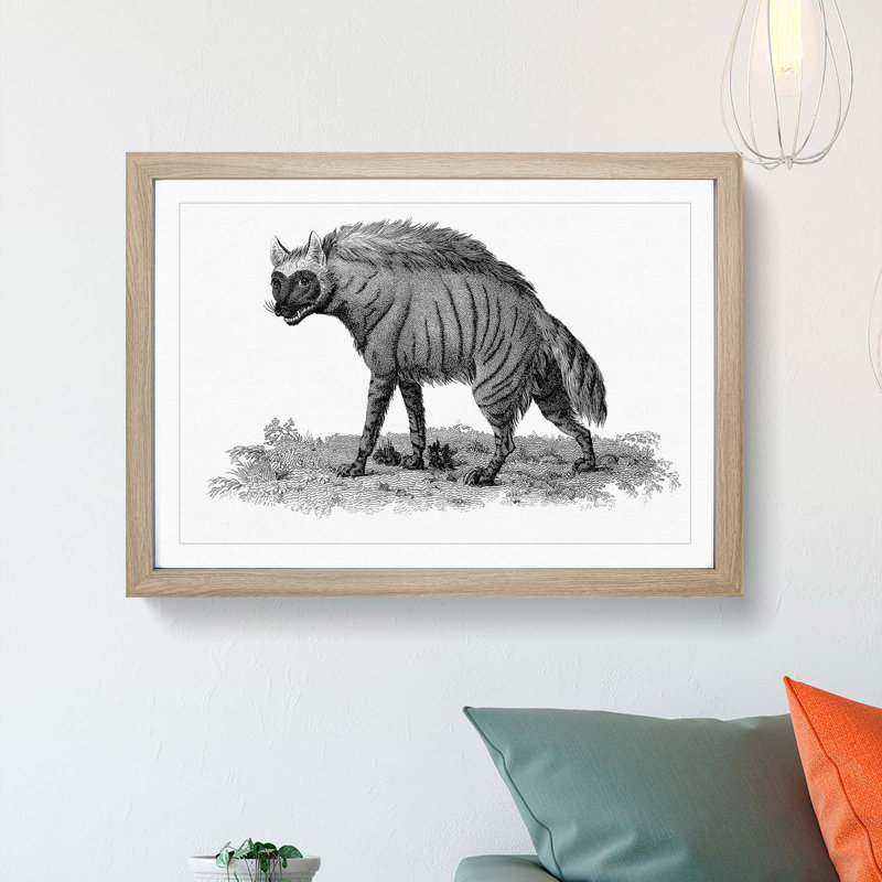 Striped Hyena in Black & White by George Shaw - Picture Frame Art Print, Oak Framed, 36cm H x 48cm W x 2cm D