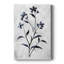 FLORAL Series dxlv - galerie sur mesure