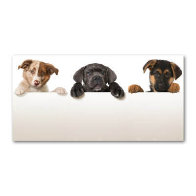 Three Puppies - Print